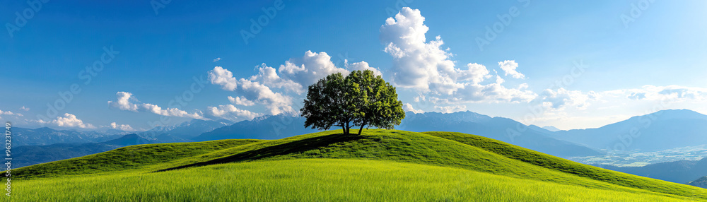 A serene landscape featuring a solitary tree on a lush green hill under a clear blue sky with soft clouds. A serene landscape featuring a solitary tree on a lush green hill under a clear blue sky with soft clouds.