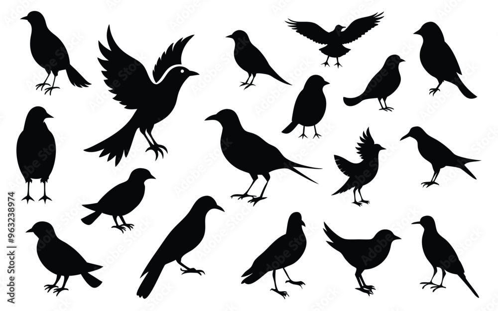 Obraz premium All type of Bird silhouette vector illustration