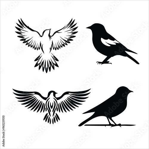 All type of Bird silhouette vector illustration