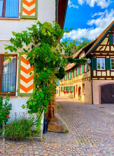 Colorful traditional German houses in Schiltach in the Black Forest