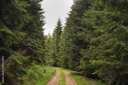 Beautiful landscapes from Cemernik mountain in south Serbia. photo