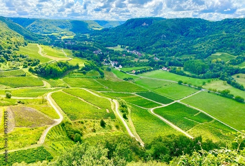 landscape with green vineyards in Jura, France photo