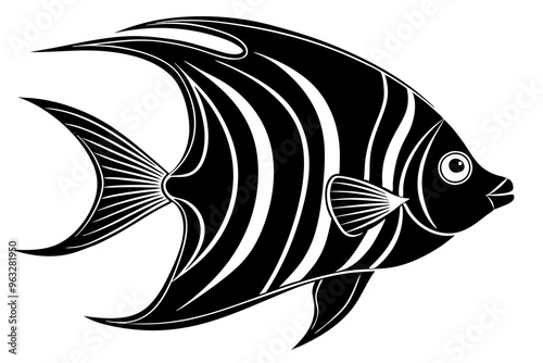 Angelfish silhouette vector illustration