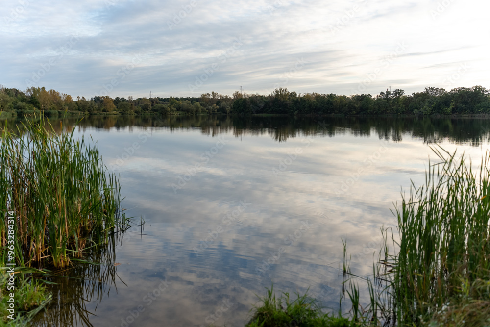 Small lake reflecting the sky, surrounded by reeds on a calm summer evening. Beautiful and serene landscape. High quality photo Small lake reflecting the sky, surrounded by reeds on a calm summer evening. Beautiful and serene landscape. High quality photo