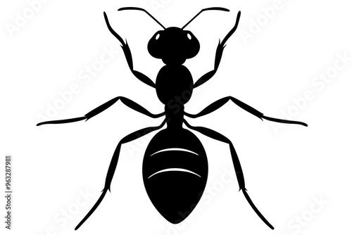 Ant silhouette vector illustration