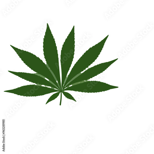 marijuana leaf isolated on white