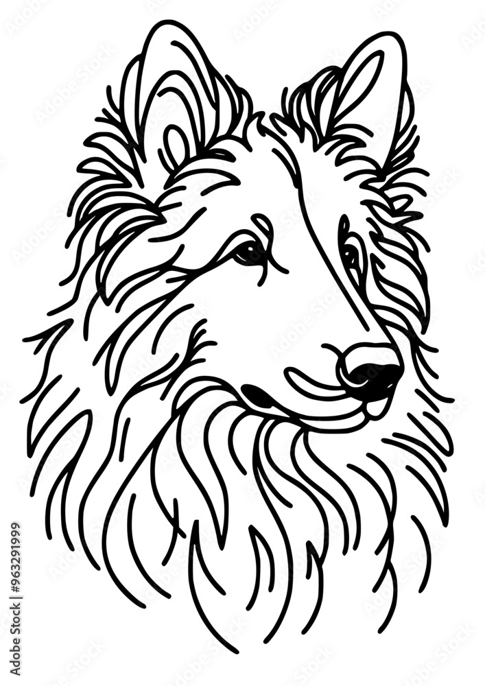 Fototapeta premium Dog breed SVG, Canine SVG, Cat SVG, Pet SVG, Corgi SVG, Bulldog SVG, Yorkshire Terrier SVG, Bullmastiff SVG, Spaniel SVG, Doberman SVG, Dog Silhouette, Dog Head, Cut file for Cricut JPG, PNG, SVG