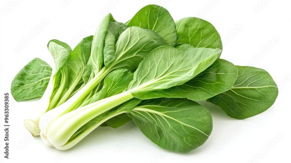 Fresh Green Bok Choy Vegetable Isolated on White Background Fresh Green Bok Choy Vegetable Isolated on White Background