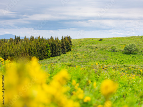 Beautiful landscapes from Cemernik mountain in south Serbia. photo