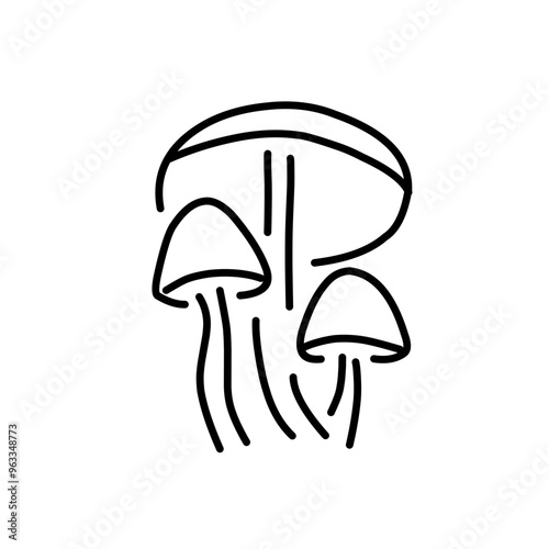 Mushrooms Drawings Vector Illustrations