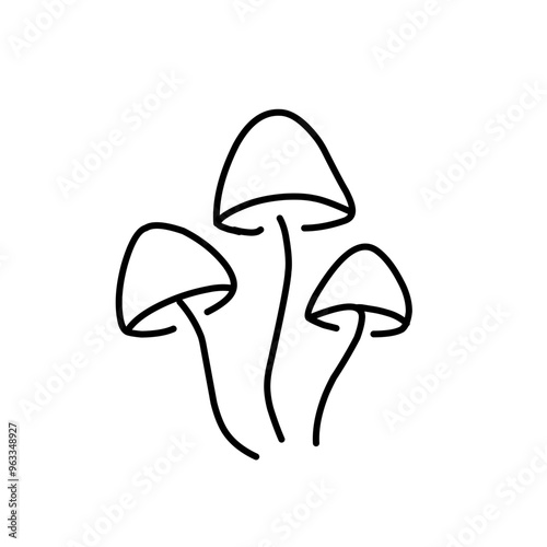 Mushrooms Drawings Vector Illustrations