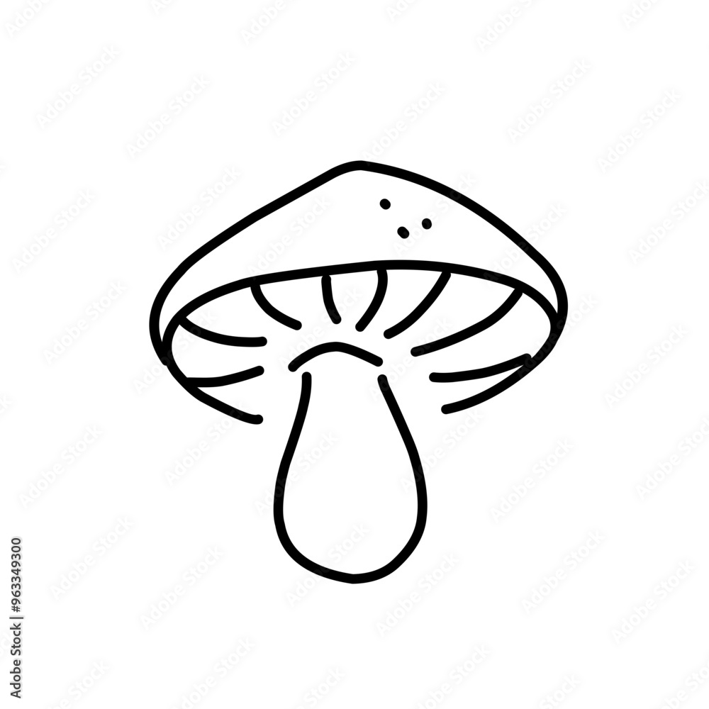 Mushrooms Drawings Vector Illustrations