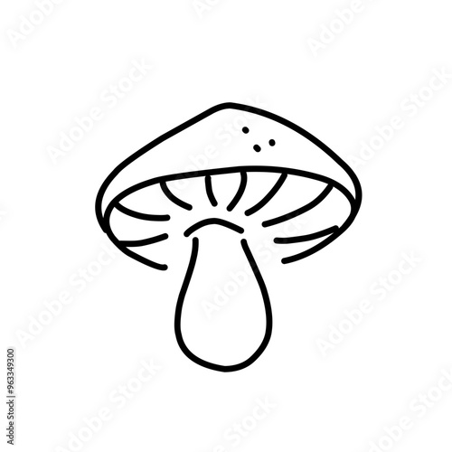 Mushrooms Drawings Vector Illustrations