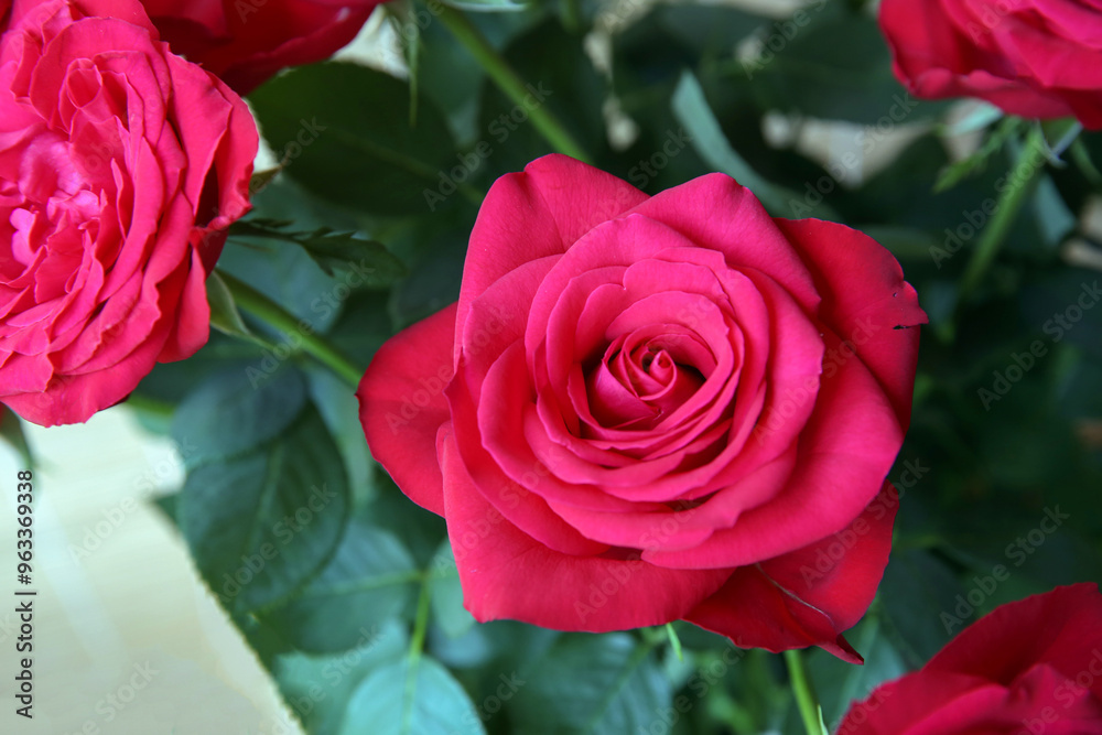 Bouquet of red garden roses.Close-up. Blurred floral background Bouquet of red garden roses.Close-up. Blurred floral background