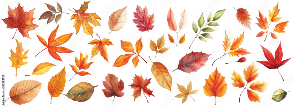 Fototapeta premium Watercolor Autumn Leaves Set isolated white background. illustration
