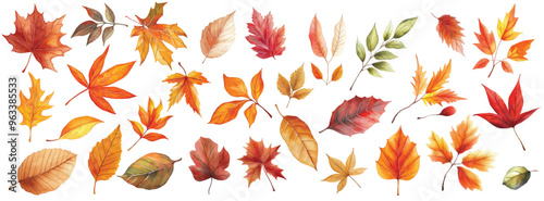 Watercolor Autumn Leaves Set isolated white background. illustration