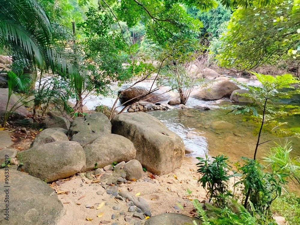 waterfall in the forest