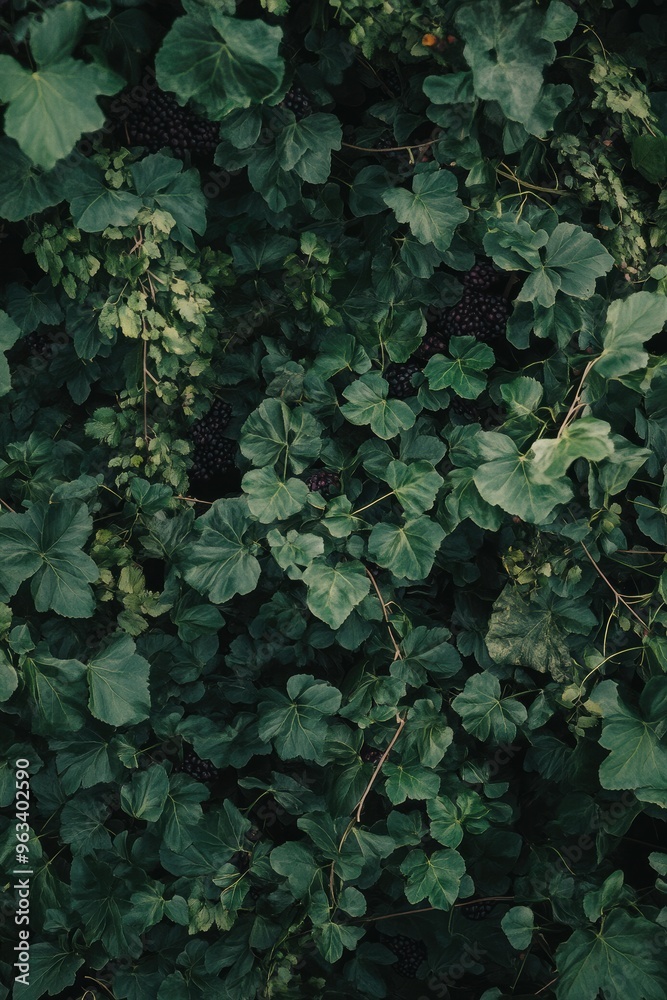 Lush Green Leaves Overlapping in Nature's Abundance Lush Green Leaves Overlapping in Nature's Abundance