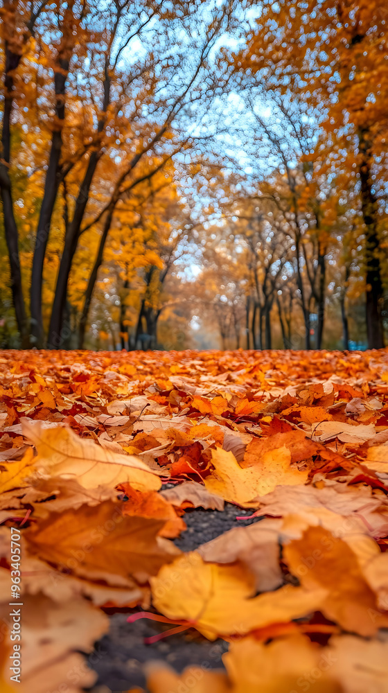 Golden Autumn Leaves Photo - A Crisp Autumn Pathway Golden Autumn Leaves Photo - A Crisp Autumn Pathway
