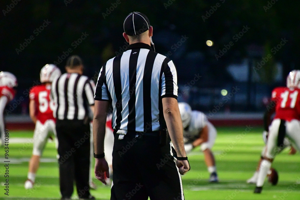 Fototapeta premium Football Referee
