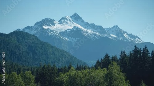 Snow-capped peaks of the Cascades, with a dense forest in the foreground and a clear blue sky above