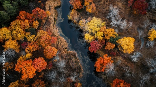 Aerial View of a Winding River Through Autumn Foliage