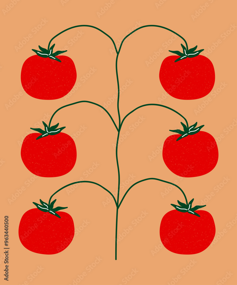 Tomatoes Tomatoes