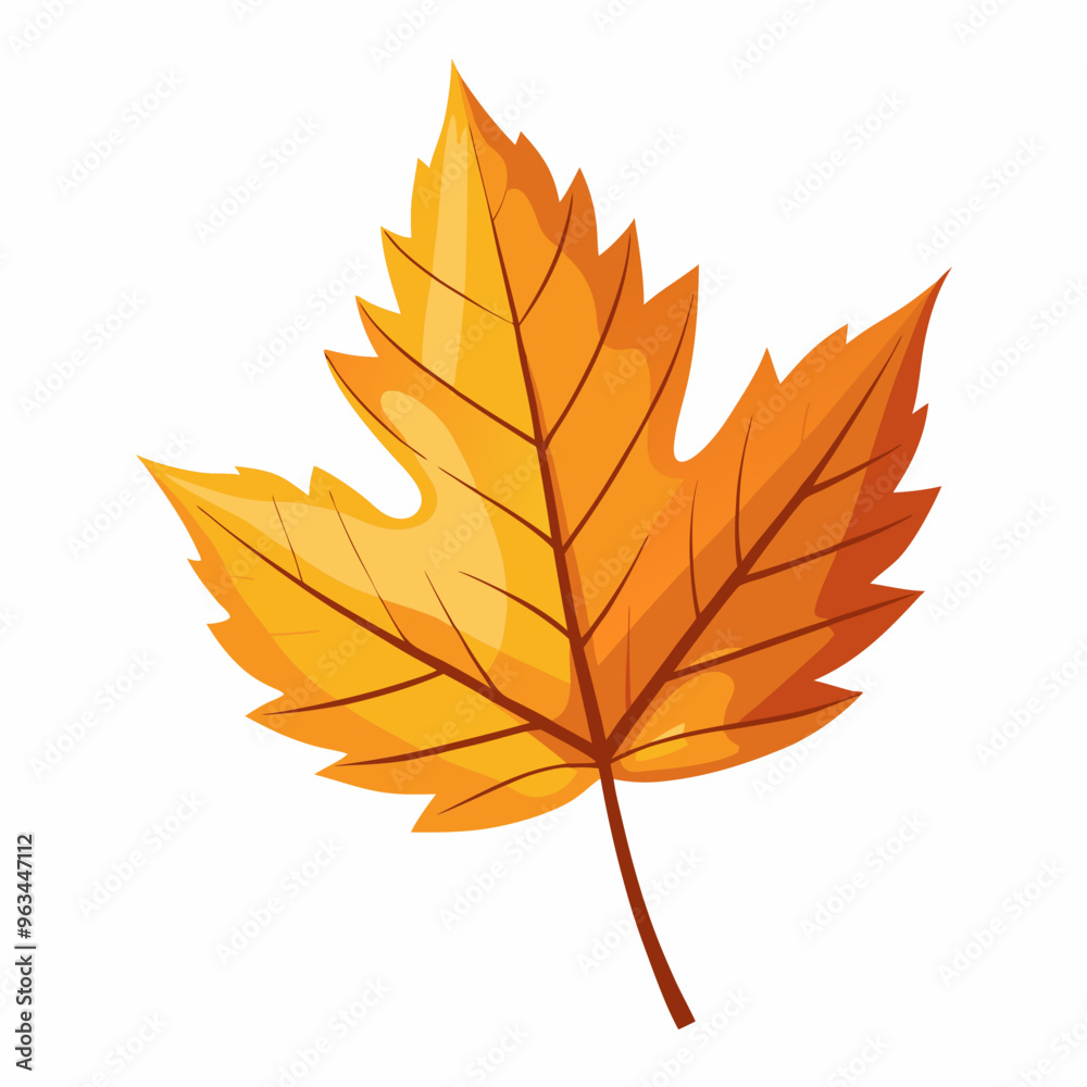 autumn maple leaves autumn maple leaves
