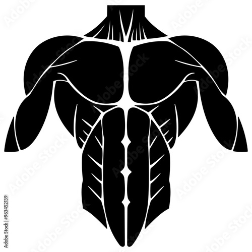 Silhouette design of human upper body muscles