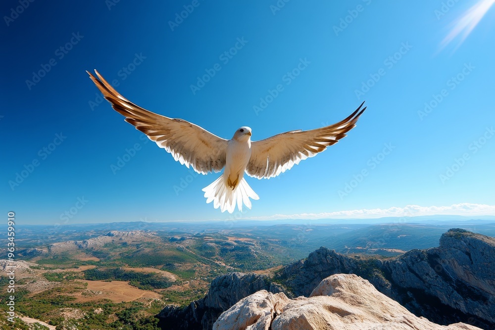 Fototapeta premium Bird hovering above a valley, surveying the world below as it finds calm and stillness in the open air, high above the earth