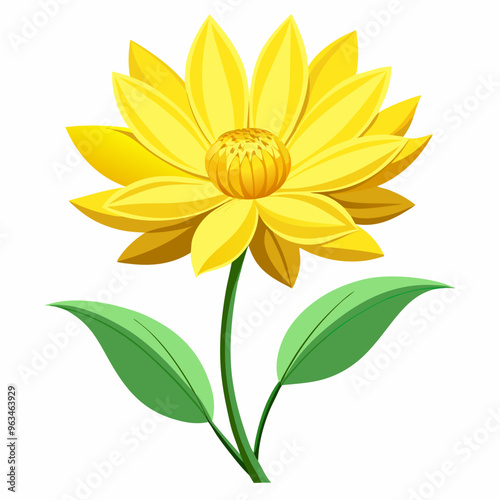 yellow flower isolated on white background