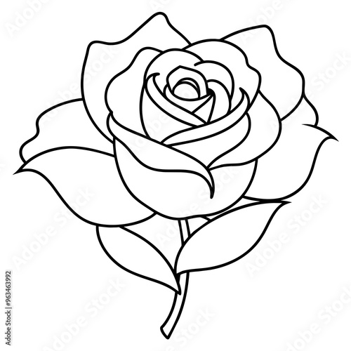 Wallpaper Mural Rose Flower Line Art Clear Drawing Book Vector Illustration Torontodigital.ca