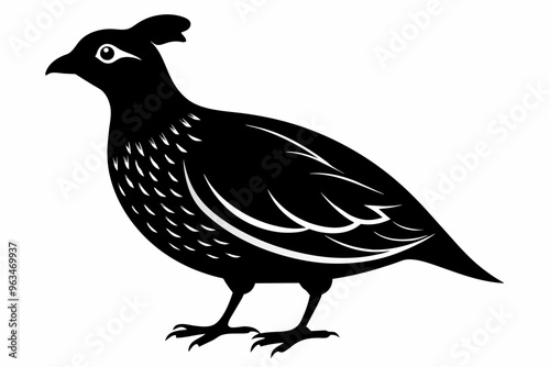 Quail silhouette black color vector art illustration