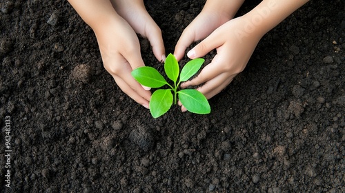 Hands planting a seed in the earth photo