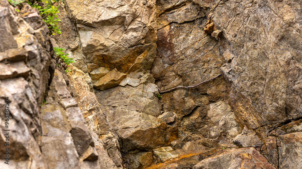 CloseUp View of a Textured Rock Surface Featuring Beautiful Greenery Accents Surrounding It CloseUp View of a Textured Rock Surface Featuring Beautiful Greenery Accents Surrounding It
