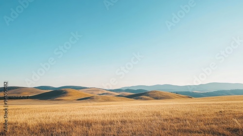 Rolling Hills and Golden Grass Under a Blue Sky