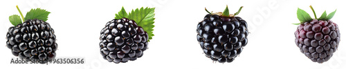 Set, collection of Blackberry fruit isolated on transparent background.