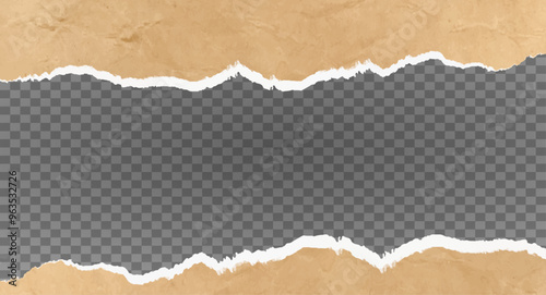ripped paper background torn with space