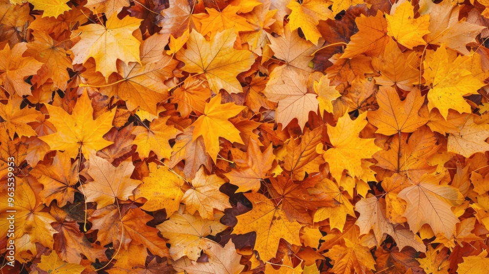 Outdoor background of yellow and orange fallen leaves.