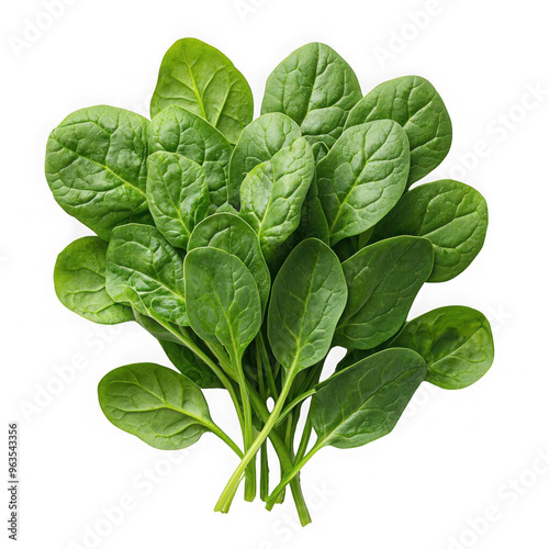 Obraz na płótnie Spinach isolated on a transparent background png file no background_1 png file w salonie