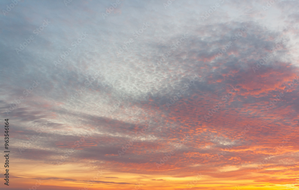 Naklejka premium sunset in the sky