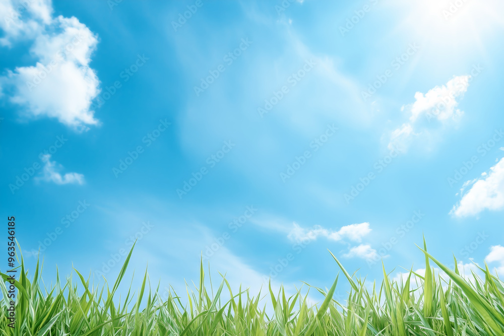 Fototapeta premium Bright sunny day with lush grass and scattered clouds
