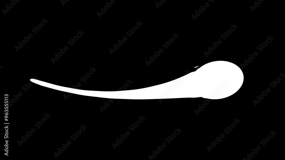 2d animation of a wight sperm on a transparent background 2d animation of a wight sperm on a transparent background