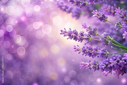 Lavender lilac colored background with bokeh high angle, beauty, romantic, dreamy, decorative, abstract, calming, atmosphere, high angle, delicate, lavender lilac, luminous, background