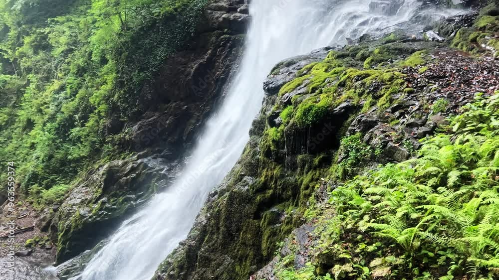 Scenic view of a beautiful waterfall surrounded by dense tropical vegetation on a sunny summer's day. Scenic view of a beautiful waterfall surrounded by dense tropical vegetation on a sunny summer's day.