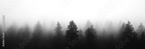 A beautifully tranquil forest scene featuring the silhouettes of tall pine trees that are enveloped in a blanket of thick fog, creating a serene, peaceful, and emotionally touching atmosphere for all