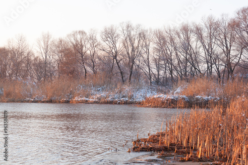 landscape with river