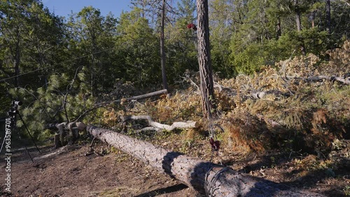 Block and Tackle Pulling and Dragging Moving a Tree with Steel Cable