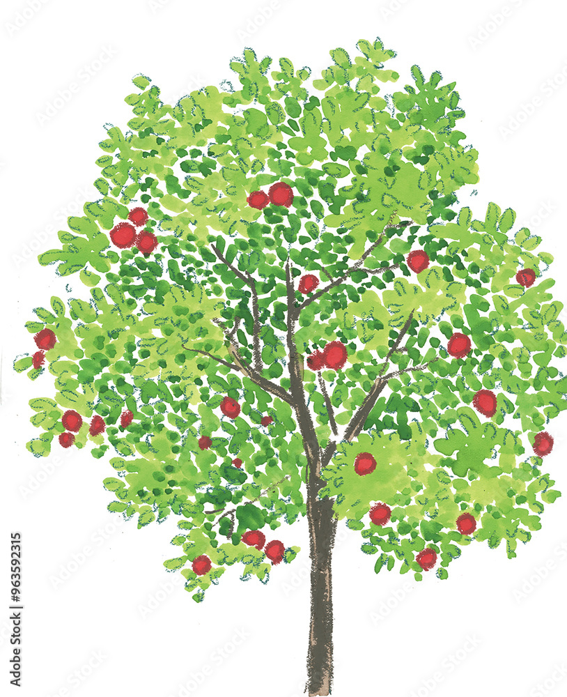 apple tree apple tree