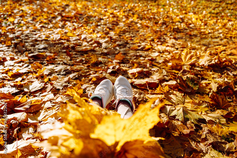 woman feet in white sneakers on autumn leaves in park woman feet in white sneakers on autumn leaves in park